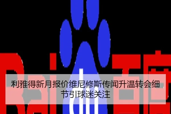 利雅得新月报价维尼修斯传闻升温转会细节引球迷关注